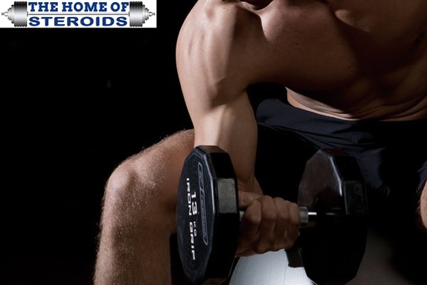 Genuine ROHM Lab Steroids Provide Quick Muscle Gain